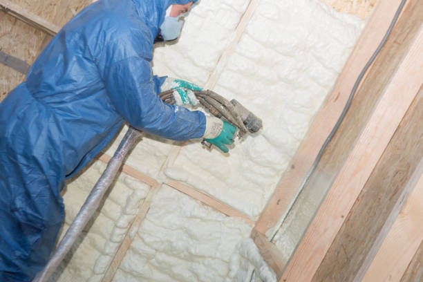 Best Eco-Friendly or Green Insulation Solutions  in Clayton, IN